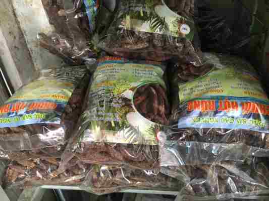 Địa chỉ bán chuối hột rừng tại Ninh Thuận giao hàng nhanh