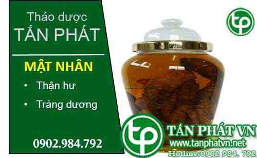 địa chỉ bán mật nhân tại quận Gò Vấp tăng cường sinh lý